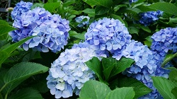 29139549_s.jpg